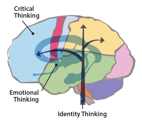 Emotional Thinking in the Brain
